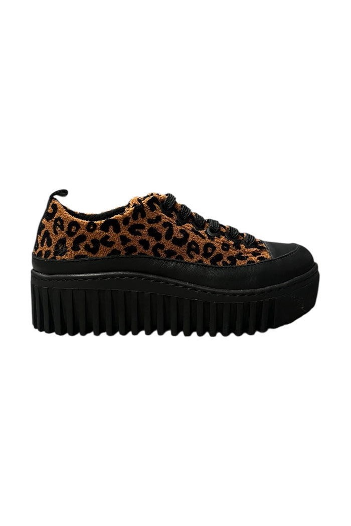 The Art Company Fantasy Jaguar Black/Brighton Sneaker